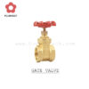 GATE VALVE-PLUMNECT