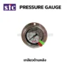 Pressure Gauge DT SFC