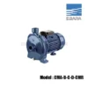 Ebara CM Series